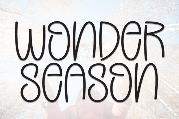 Wonder Season Font for Business Branding